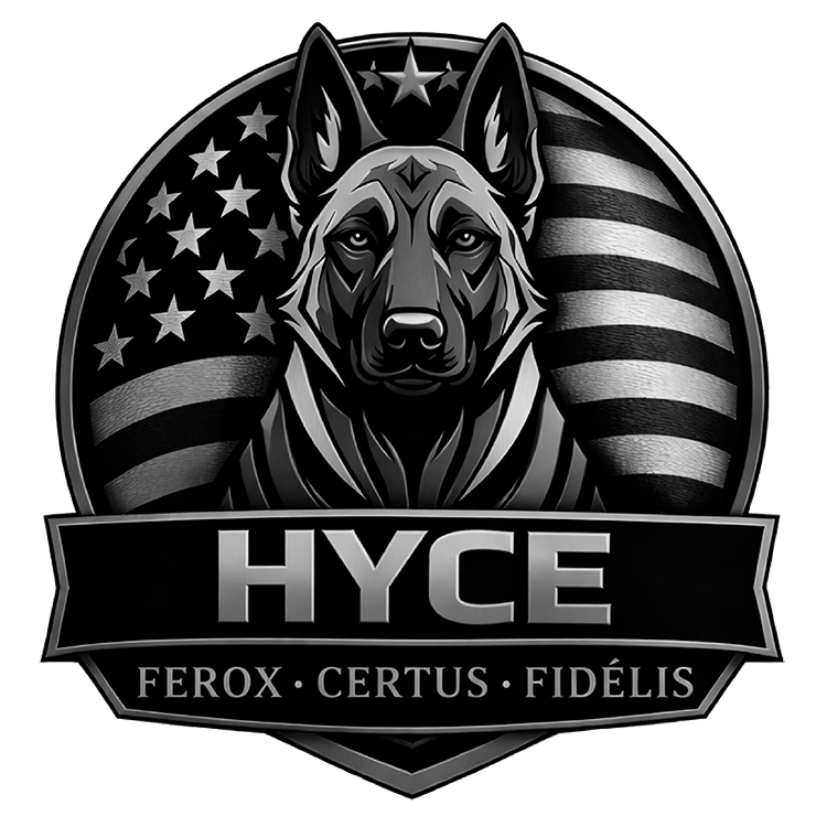 HYCE black and white logo